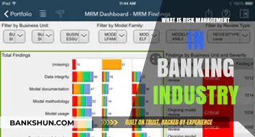 Risk Management: Banking Industry's Strategic Defense