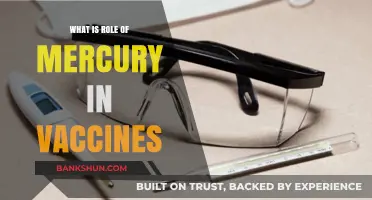 Mercury in Vaccines: Understanding Its Role and Safety Concerns