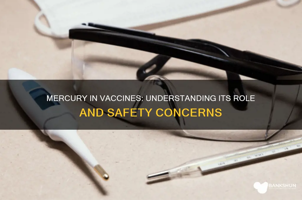 what is role of mercury in vaccines
