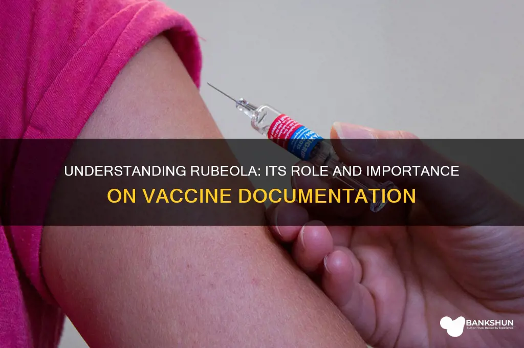 what is rubeola under on vaccine paperwork