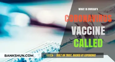 Russia's COVID-19 Vaccine: Unveiling the Name and Its Global Impact