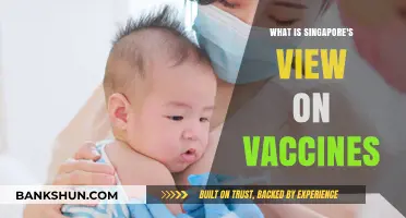 Singapore's Vaccine Perspective: Policies, Public Trust, and Health Priorities
