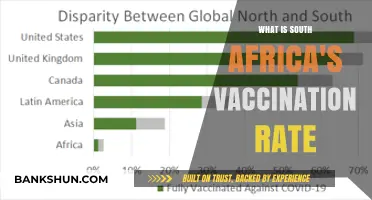 South Africa's Vaccination Progress: Current Rates and Key Insights