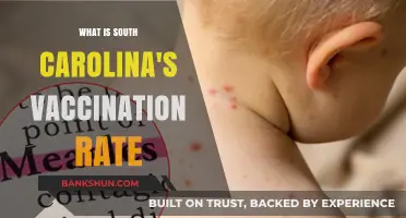 South Carolina's Vaccination Rate: Current Stats and Trends Explained