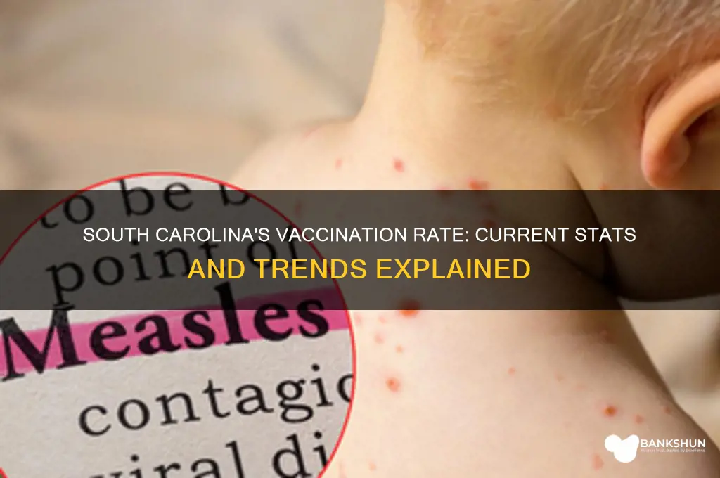 what is south carolina