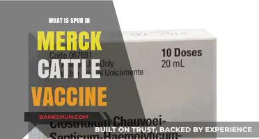 Understanding Spur: Merck Cattle Vaccine's Role in Livestock Health