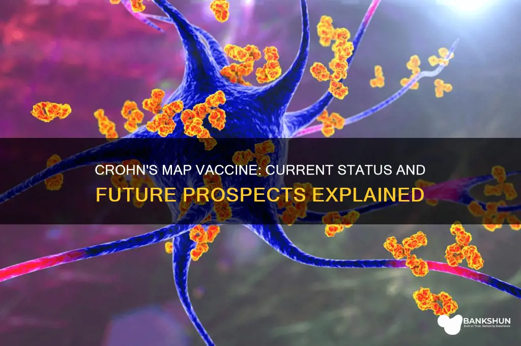 what is status of crohns map vaccine