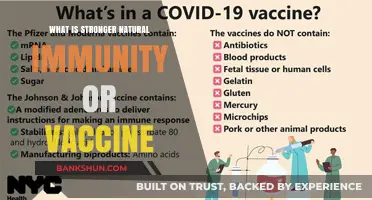 Natural Immunity vs. Vaccines: Which Offers Stronger, Lasting Protection?