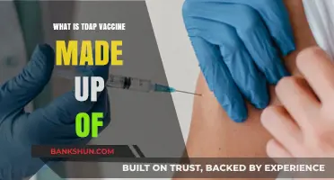 Understanding the Tdap Vaccine: Components and Their Role in Immunity