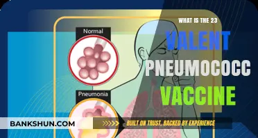 Understanding the 23-Valent Pneumococcal Vaccine: Benefits and Importance