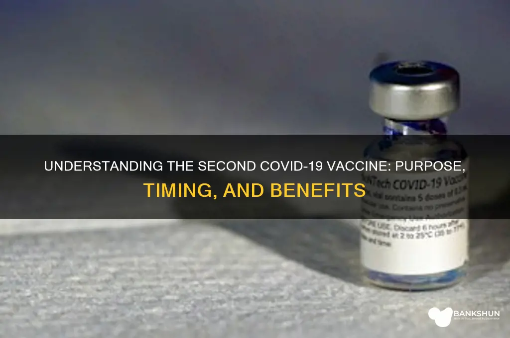 what is the 2nd vaccine for coronavirus