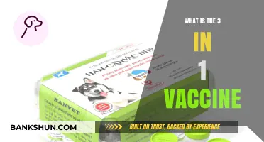 Understanding the 3-in-1 Vaccine: Benefits, Protection, and Importance