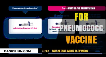 Understanding Pneumococcal Vaccine: Abbreviation and Its Importance Explained