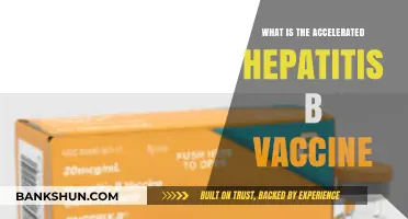 Accelerated Hepatitis B Vaccine: Quick Protection, Faster Immunity Explained