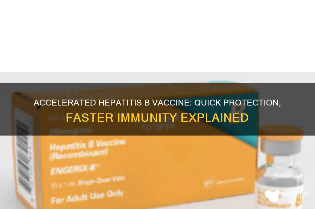 what is the accelerated hepatitis b vaccine