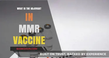 Understanding the Role of Adjuvants in the MMR Vaccine