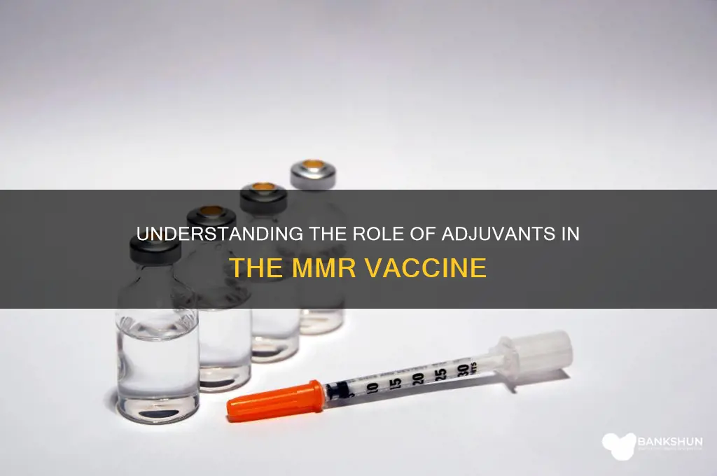 what is the adjuvant in mmr vaccine