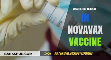 Understanding Novavax: The Role of Adjuvant in Its COVID-19 Vaccine