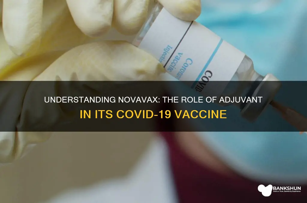 what is the adjuvant in novavax vaccine