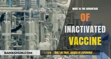 Inactivated Vaccines: Key Benefits for Safe and Effective Immunity