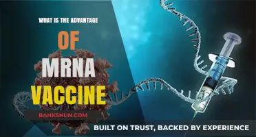 mRNA Vaccines: Revolutionizing Immunization with Speed, Precision, and Adaptability