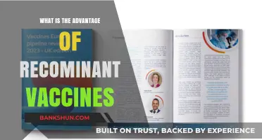 Recombinant Vaccines: Unlocking Precision, Safety, and Long-Lasting Immunity Benefits