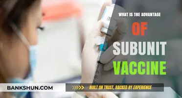Subunit Vaccines: Precision, Safety, and Targeted Immune Protection Explained
