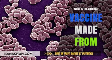 Understanding the Anthrax Vaccine: Ingredients and Composition Explained