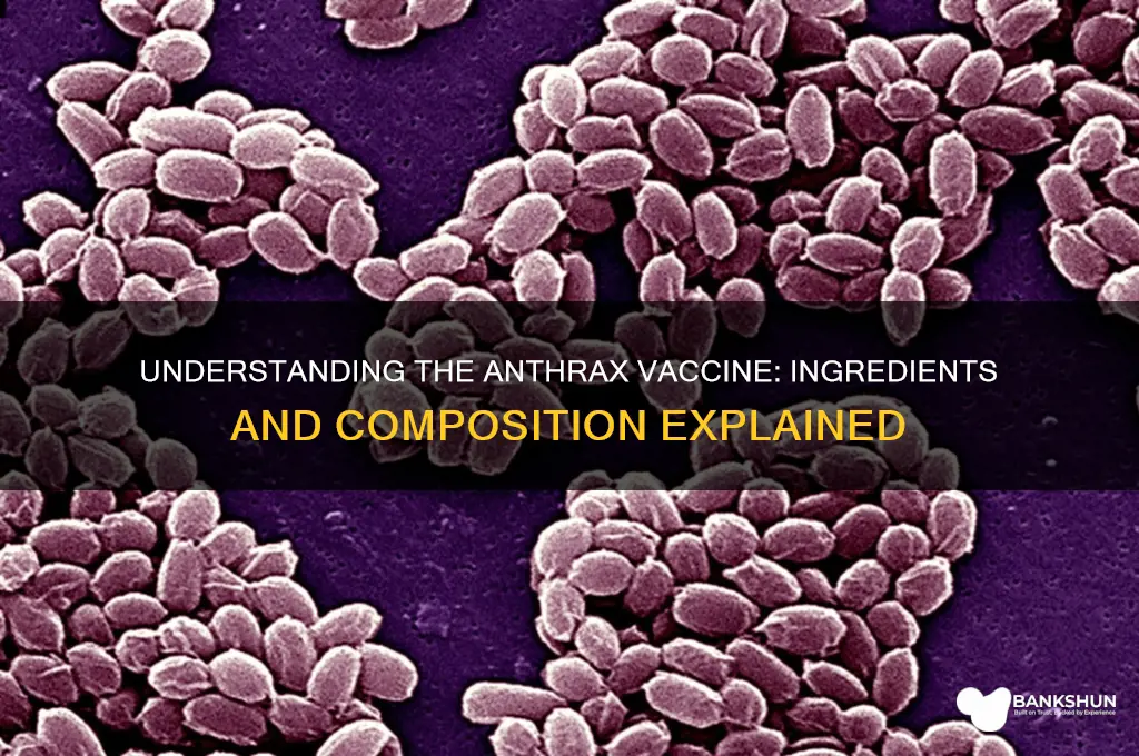 what is the anthrax vaccine made from