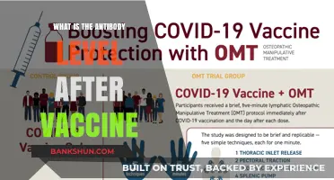 Understanding Post-Vaccination Antibody Levels: What You Need to Know