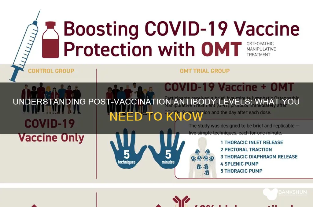 what is the antibody level after vaccine