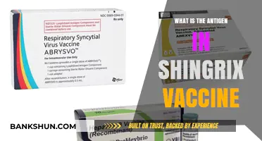 Understanding Shingrix: The Key Antigen in This Vaccine Explained