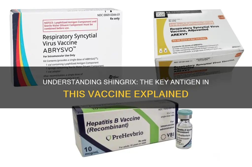 what is the antigen in shingrix vaccine
