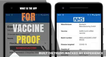 Secure Your Vaccine Records: Top Apps for Digital Proof