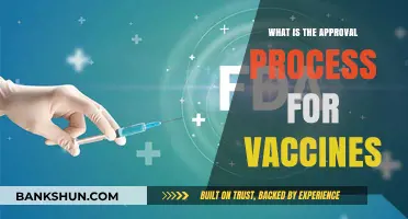 Understanding the Rigorous Approval Process for Vaccines: Safety and Efficacy