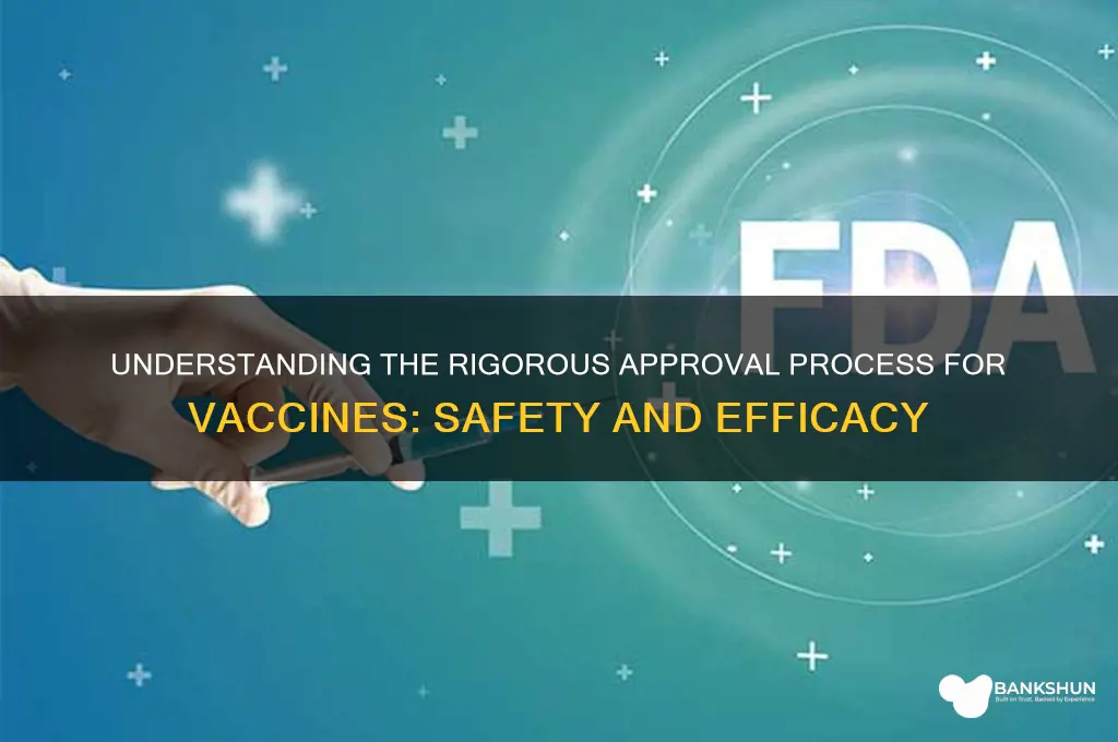 what is the approval process for vaccines