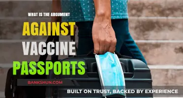 Vaccine Passports: Privacy, Equity, and Freedom Concerns Explained