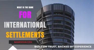The Bank for International Settlements: Global Financial Conductor