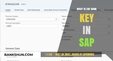 Understanding the Bank Key in SAP