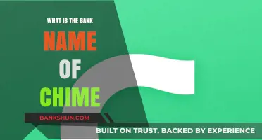 Chime's Banking Partner: All You Need to Know