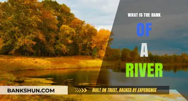 River Banks: Nature's Gift to Humans