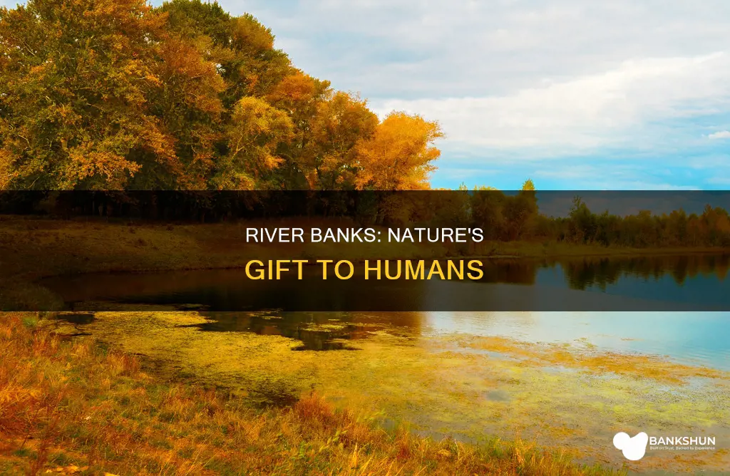 what is the bank of a river