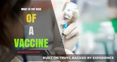 Understanding Vaccine Basics: The Science Behind Their Foundation