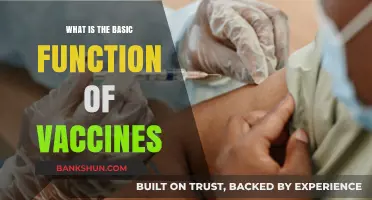 Understanding Vaccines: Their Essential Role in Preventing Diseases