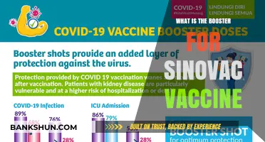 Understanding Sinovac Vaccine Booster: Benefits, Timing, and Effectiveness