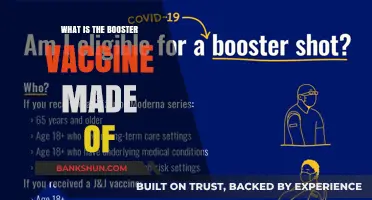 Understanding Booster Vaccines: Key Ingredients and Their Role in Immunity