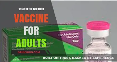 Boostrix Vaccine: Essential Adult Immunization for Tetanus, Diphtheria, and Pertussis