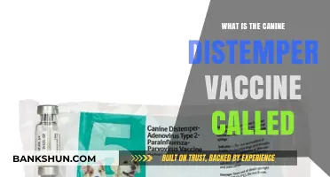 Understanding the Canine Distemper Vaccine: Name, Purpose, and Importance