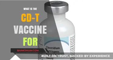 Understanding the CD-T Vaccine: Purpose, Benefits, and Importance Explained