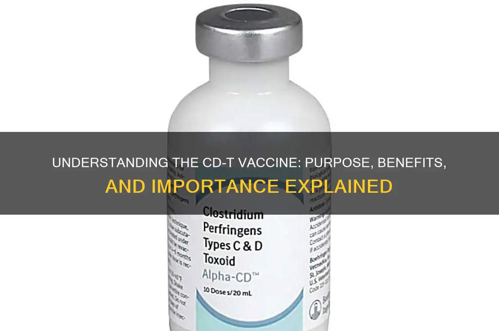what is the cd-t vaccine for
